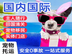 博乐阿拉山口机场物流国际宠物托运 【国